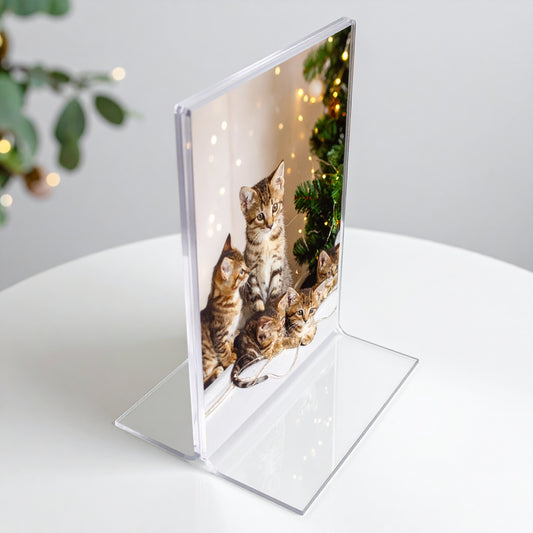 Extra-Thick Bottom-Load Acrylic Sign Holder — Countertop Display – clear acrylic sign or literature display holder for brochures, menus, flyers, or signage, size 5 x 7. Made in the USA by WebAcrylics.